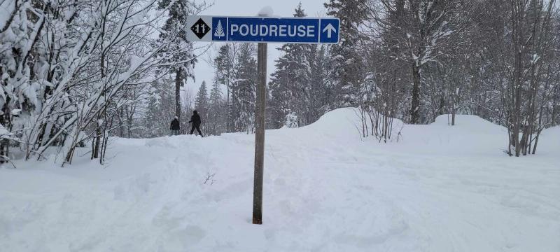 Parc du Mont Saint-Mathieu -Une belle neige naturelle juste pour nous. Parc du Mont Saint-Mathieu -Une belle neige naturelle juste pour nous.